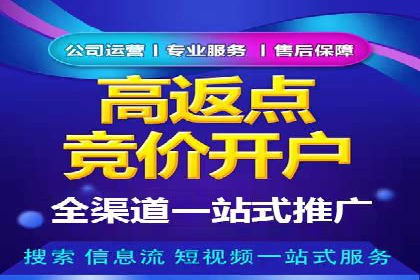 竞价排名中的数据分析和优化案例